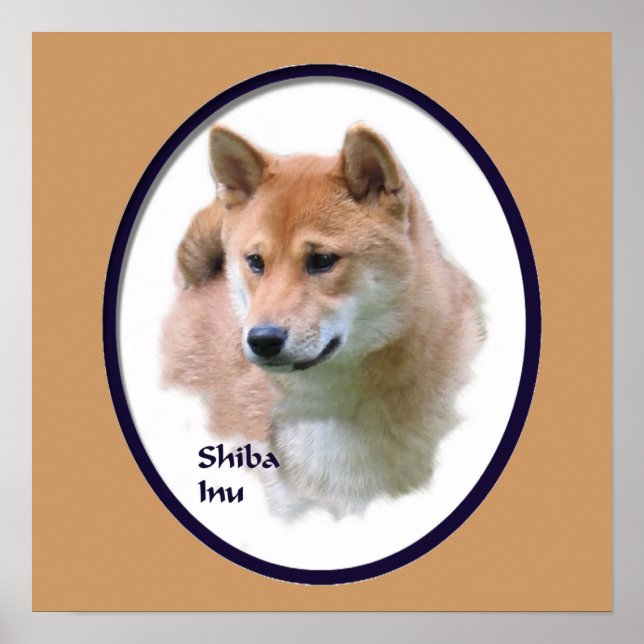 Affiche Shiba Inu Imprimer (Devant)