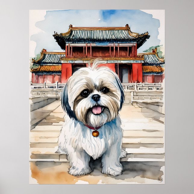 Affiche Shih Tzu - Art Chien Imprimer (Devant)