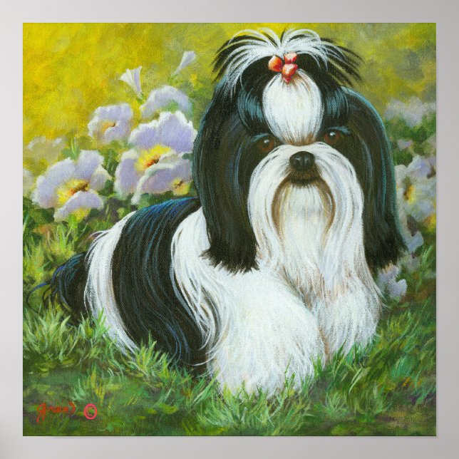 Affiche Shih Tzu Art Imprimer sur toile (Devant)