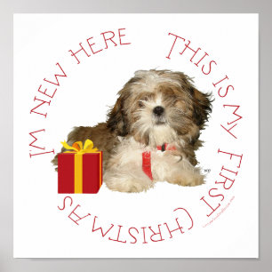 Affiche Shih Tzu chiot premier Noël