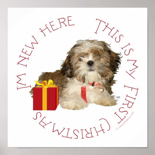 Affiche Shih Tzu chiot premier Noël (Devant)
