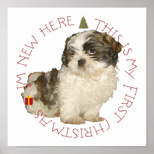 Affiche Shih Tzu chiot premier Noël (Devant)