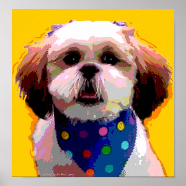 Affiche Shih Tzu en toile À petits pois (Devant)
