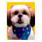 Shih Tzu en toile À petits pois