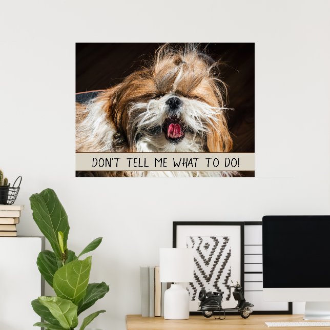 Affiche Shih tzu langue drôle Ne me dites pas quoi faire (Bureau à domicile)