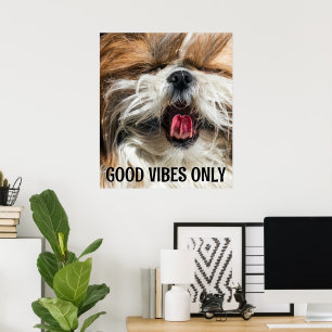 Affiche Shih tzu langue drôles violes texte personnalisé