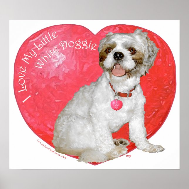 Affiche Shih Tzu / Lhasa Apso Saint-Valentin (Devant)
