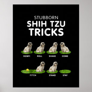Affiche Shih Tzu Lover Funny Shih Tzu Trick Dog Love