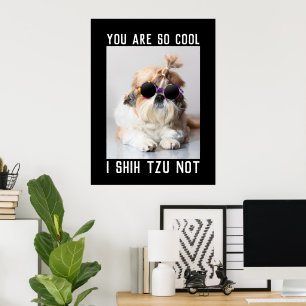 Affiche Shih Tzu Pas amusant mignon chien cool texte perso