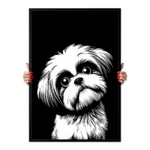 Affiche Shih Tzu Pop Art Blanc & Noir Chic Esthétique