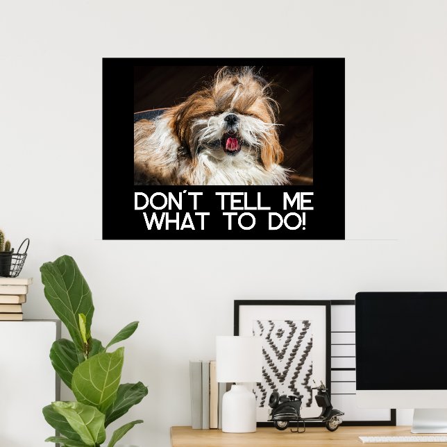 Affiche Shih tzu tongue funny Don't tell me what to do (Bureau à domicile)