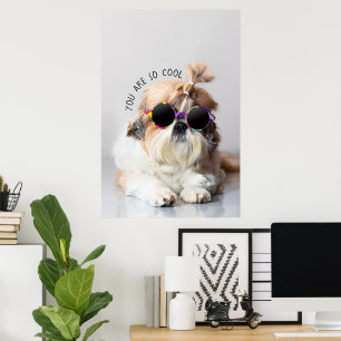 Affiche Shih Tzu Vous êtes si Cool mignon fun Lunettes de 