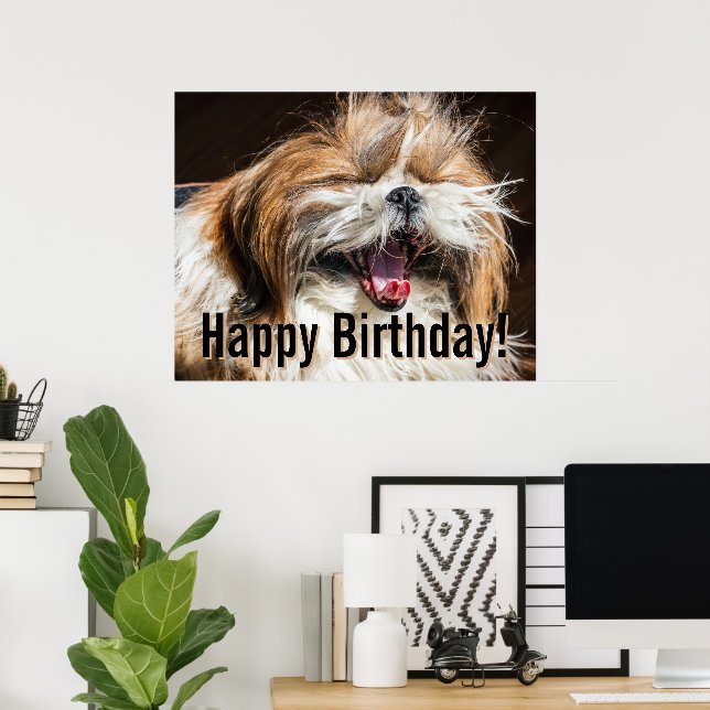 Affiche Shih tzu yawning laughing funny Happy birthday  (Bureau à domicile)