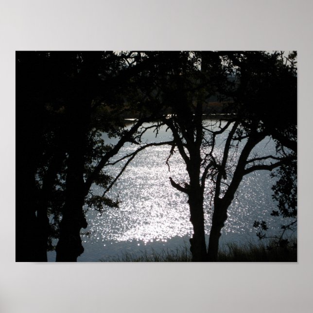 Affiche "Shimmering Silhouettes" (Devant)