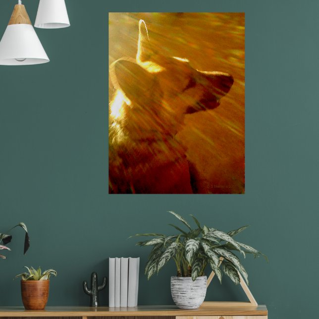 Affiche Shine On Me Berger Allemand #2 (Salon 1)