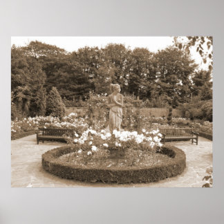 Affiche Shy Girl aux Rose