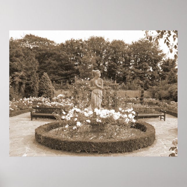 Affiche Shy Girl aux Rose (Devant)