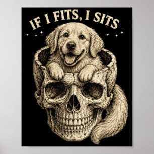 Affiche Si ça rentre ça s'assoit Crâne de Golden Retriever