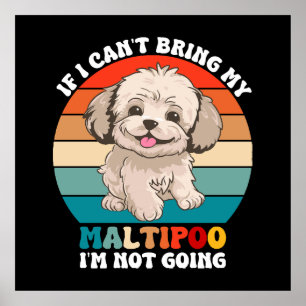 Affiche Si je ne peux pas amener mon chien Maltipoo, je ne