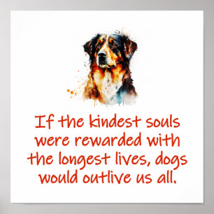 Affiche Si Les Âmes Les Plus Géniales Étaient Récompensées