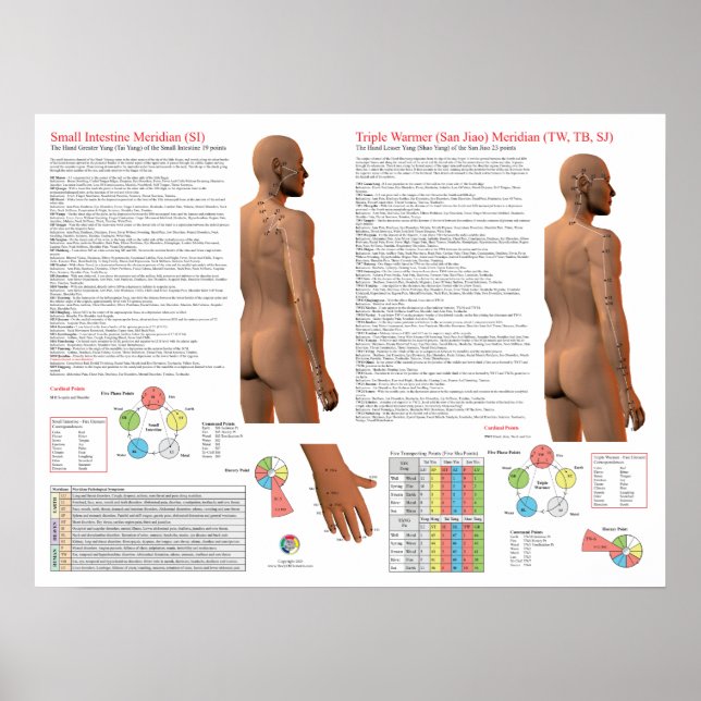 Affiche SI TW Meridian Acupuncture Points (Devant)
