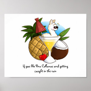 Affiche Si Vous Aimez Pina Collamas