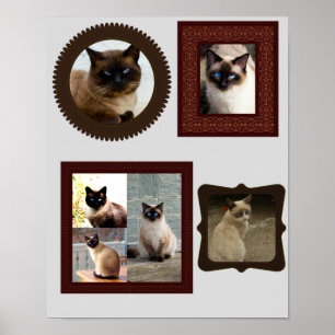 Affiche Siamese cat family frame photo gift