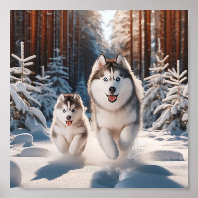 Affiche Siberian Husky maman et son chiot (Devant)