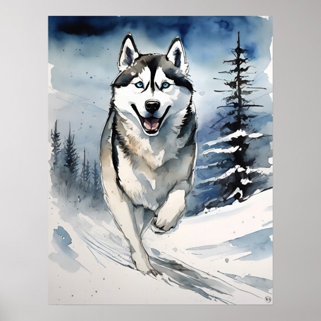 Affiche Sibérie Husky - Art Chien Imprimer (Devant)