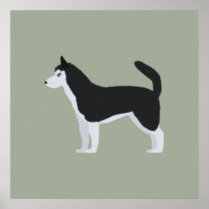 Affiche Sibérien Husky