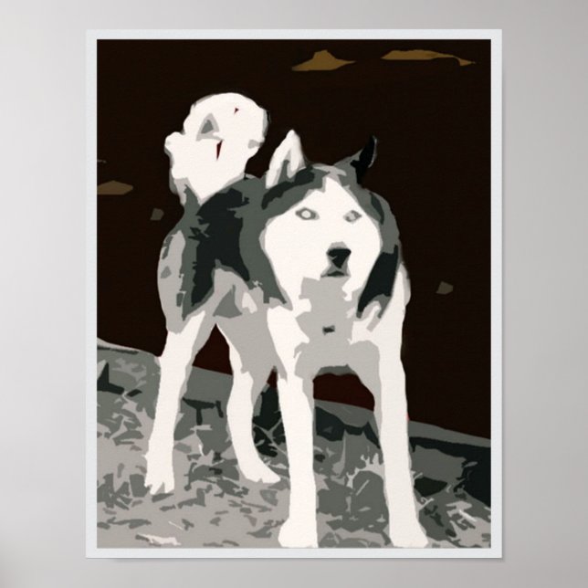Affiche sibérienne husky (Devant)