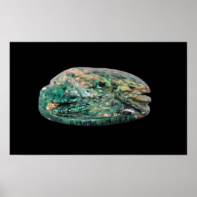 Affiche Side view of a marriage scarab of Amenhotep III (Devant)