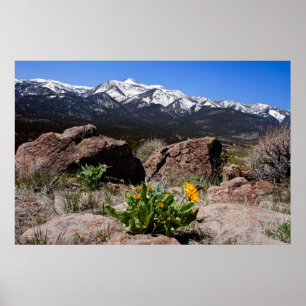 Affiche Sierra Mountain View