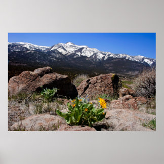 Affiche Sierra Mountain View