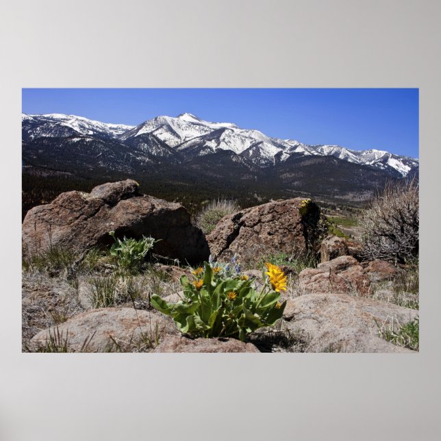 Affiche Sierra Mountain View (Devant)