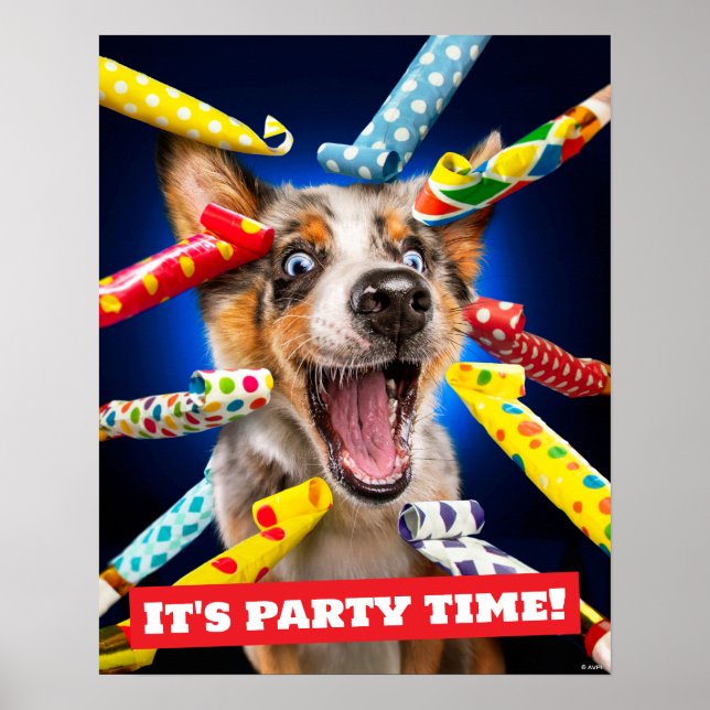 Affiche Sifflets pour fête de chien heureux (Devant)