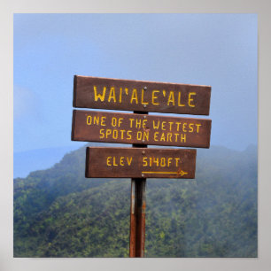 Affiche Signe du mont Waialeale, Kauai, Hawaii