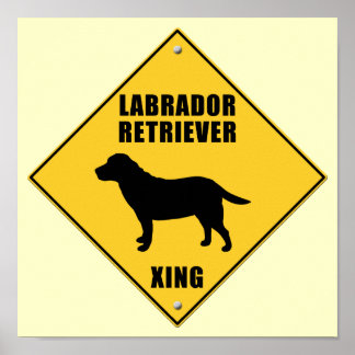 Affiche SIGNE DU PASSAGE DE RETRAITE DU Labrador (XING)