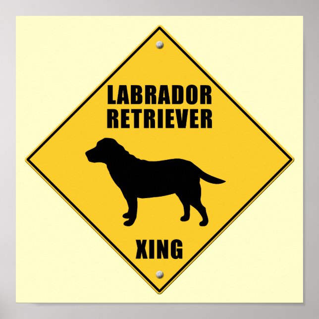 Affiche SIGNE DU PASSAGE DE RETRAITE DU Labrador (XING) (Devant)