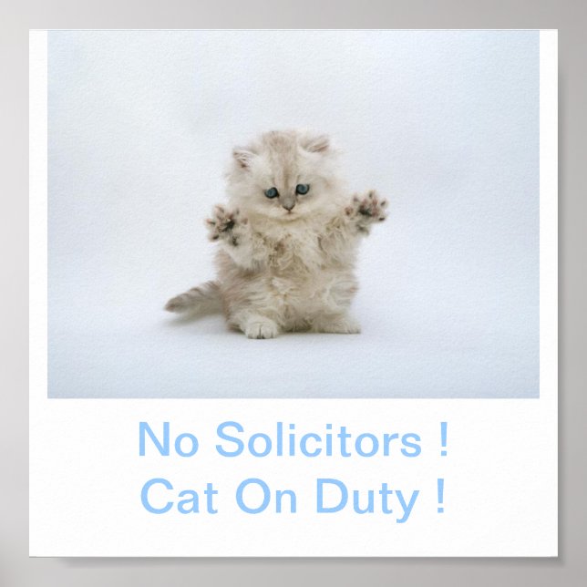 Affiche Signe Kitty Cat Pas d'avocat (Devant)
