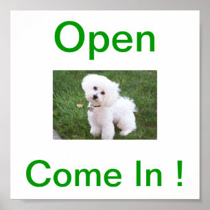 Affiche Signe ouvert de chien de Bichon Frise