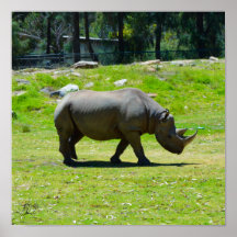 Signé Taronga Western Plains Zoo Dubbo - Rhino