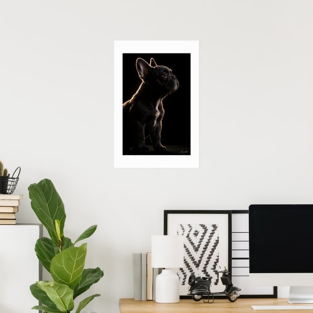 Affiche Silence de velours (Bureau à domicile)