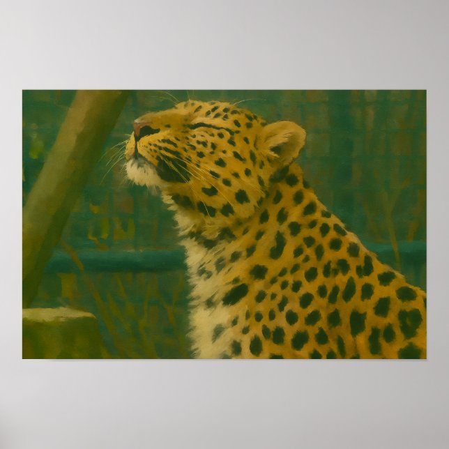 Affiche Silence éclairé - Leopard au repos dans la lumière (Devant)