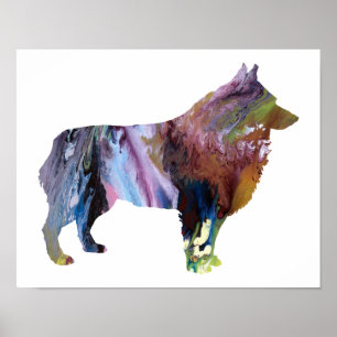 Affiche Silhouette abstraite colorée de Schipperke
