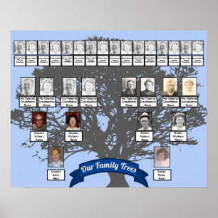Affiche Silhouette Arbre Photo Deux Arbres Familiaux
