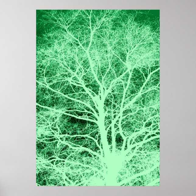 Affiche Silhouette d'arbre vert (Devant)