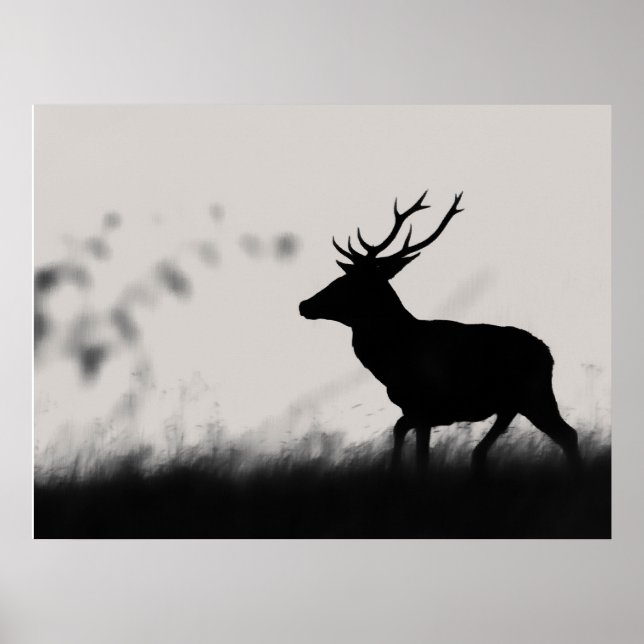 Affiche Silhouette de cerf élaphe dans la brume – Noir et  (Devant)
