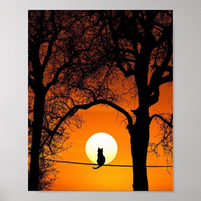Affiche Silhouette de chat noir au coucher du soleil (Devant)