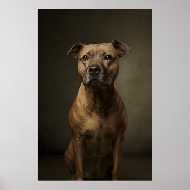Affiche Silhouette de chien élégant (Devant)